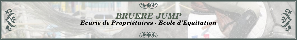 BRUERE JUMP